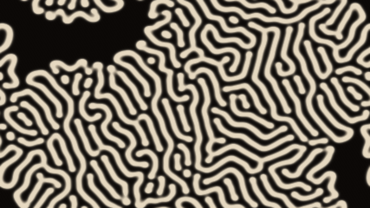 Hollowbone Stain interactive simulation preview