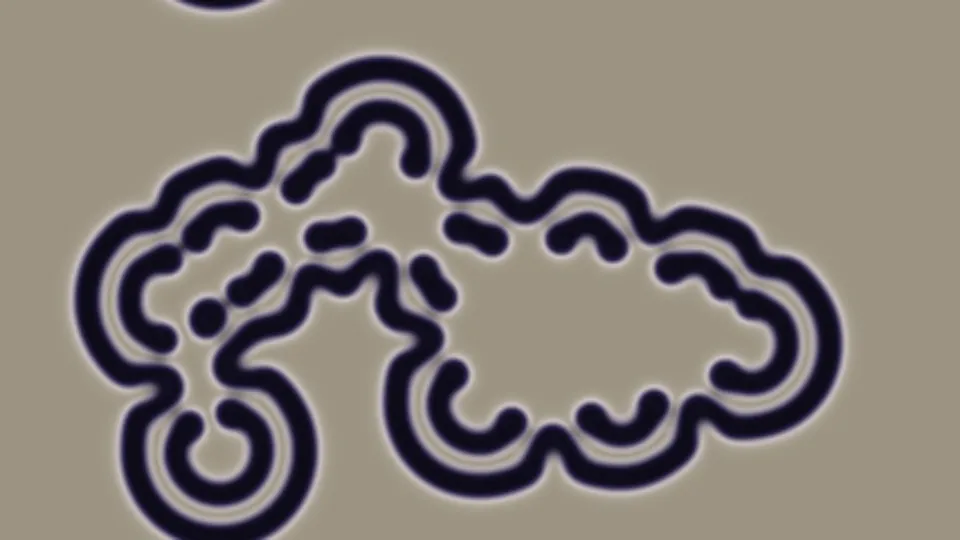 Labyrinth Vespers interactive simulation preview