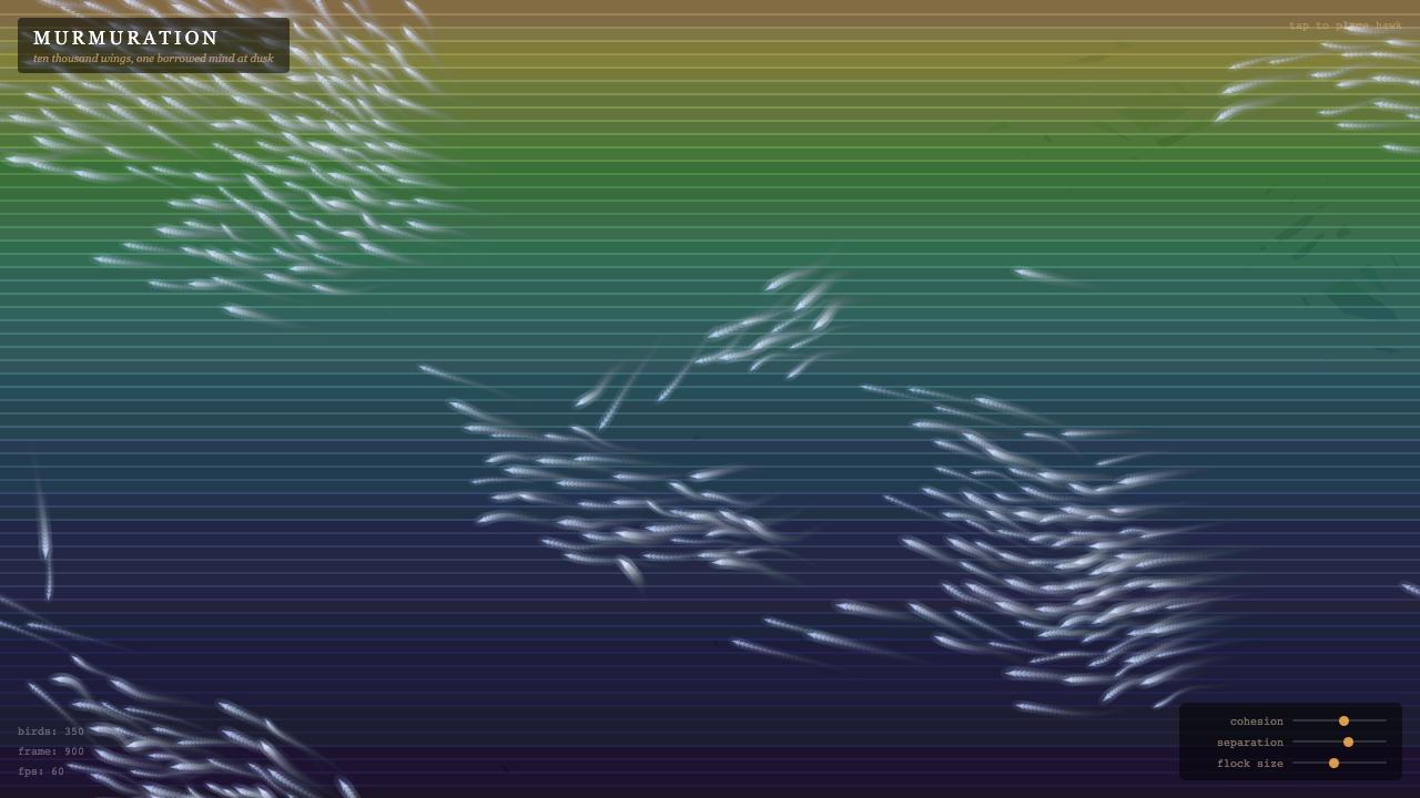 Murmuration interactive simulation preview