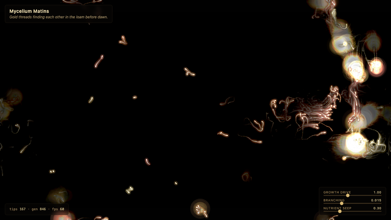 Mycelium Matins interactive simulation preview