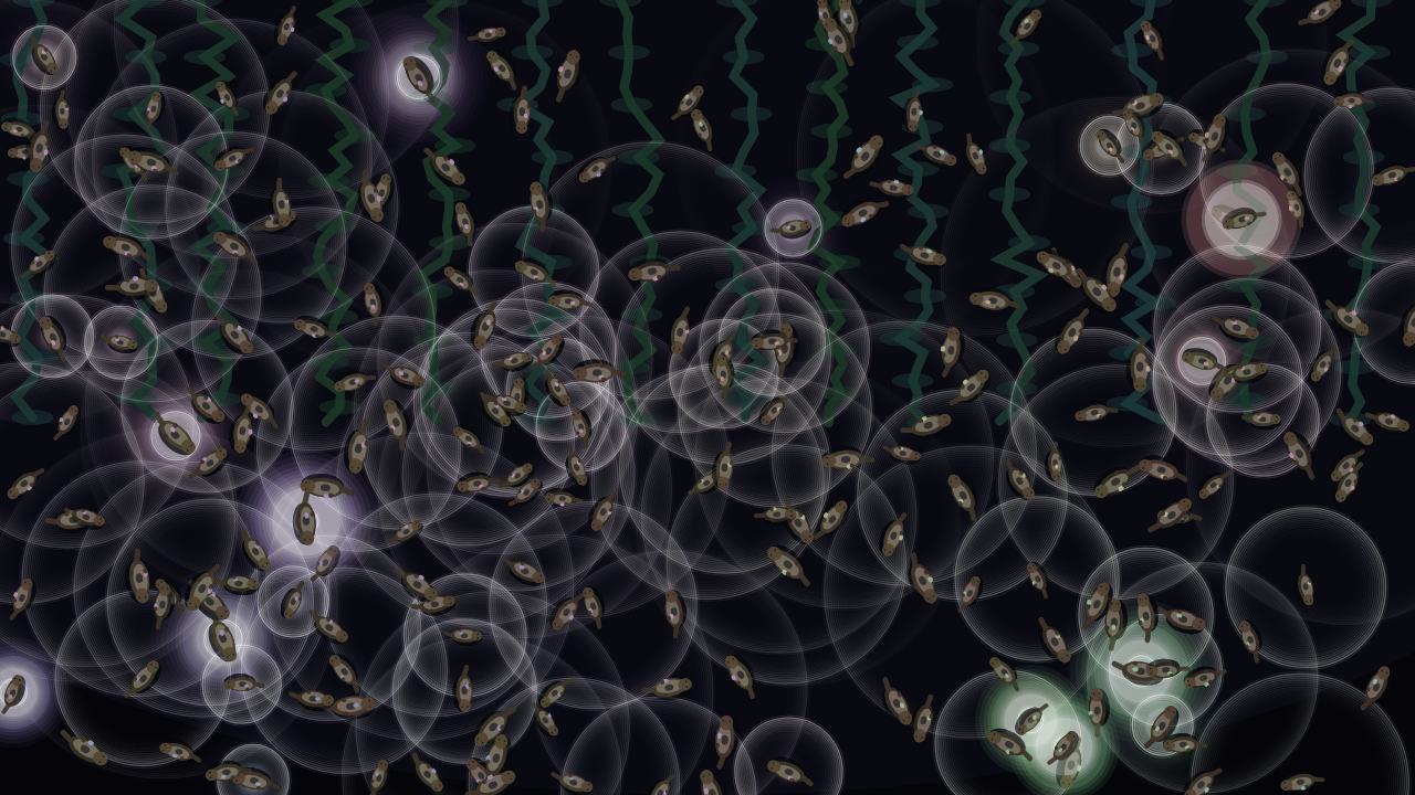 Otter Rondeau interactive simulation preview