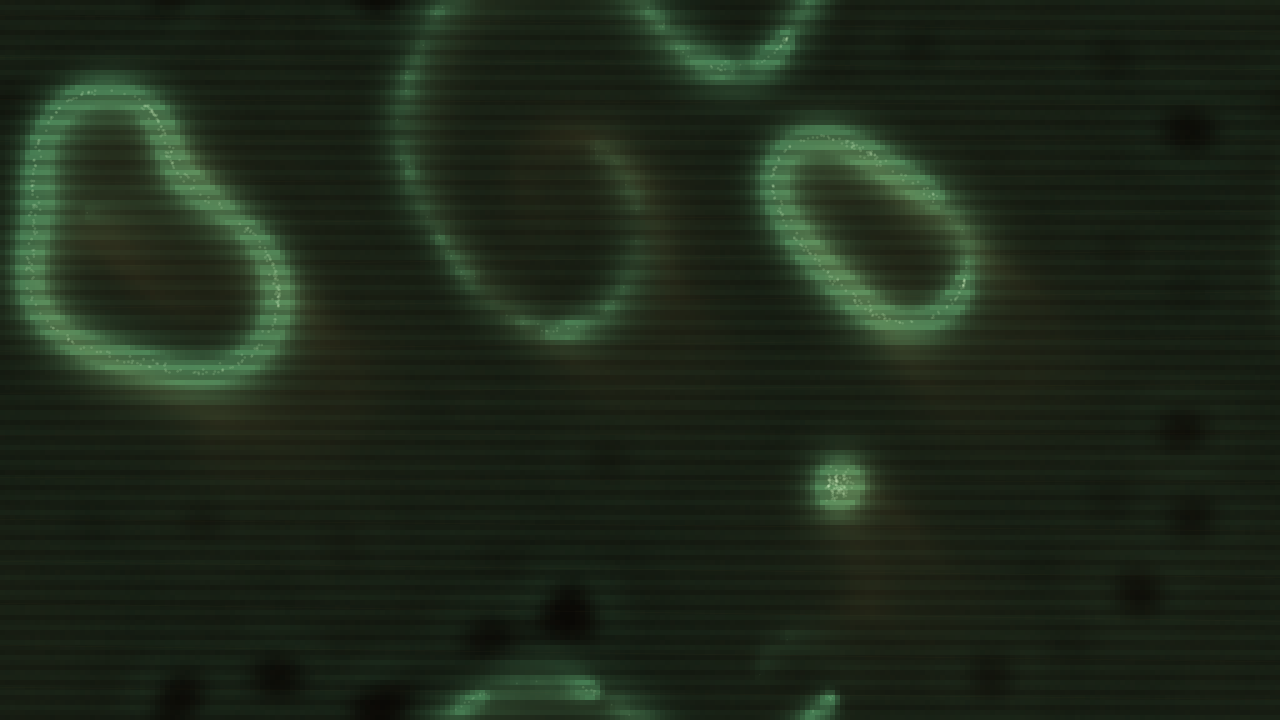 Sage Reliquary interactive simulation preview