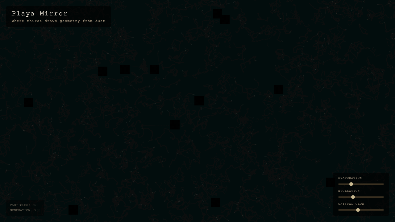 Playa Mirror interactive simulation preview