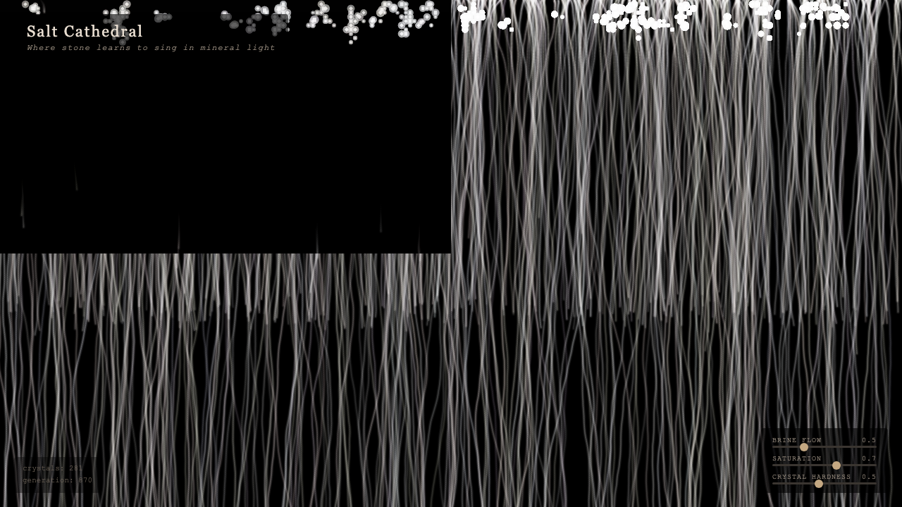 Salt Cathedral interactive simulation preview