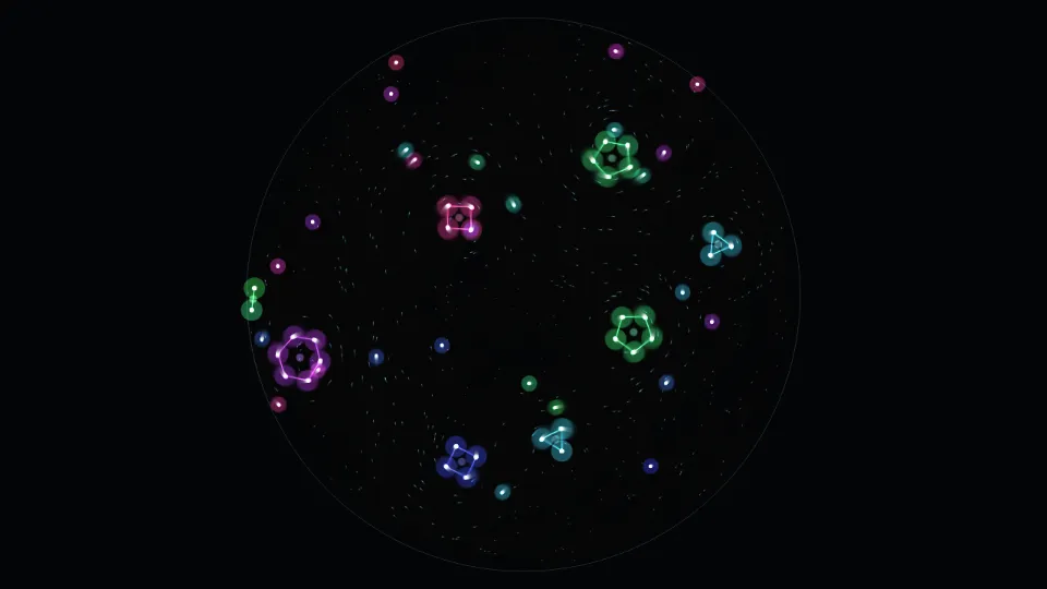 Too Many for the Reel interactive simulation preview