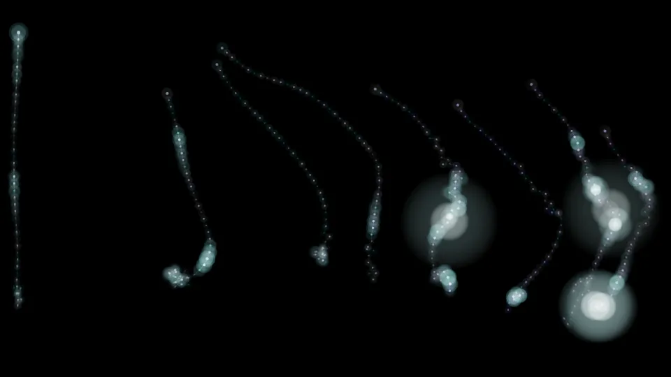 Pelagic Chaplet interactive simulation preview