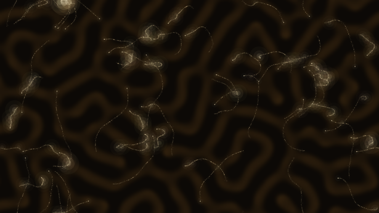 Cipher Tierce interactive simulation preview