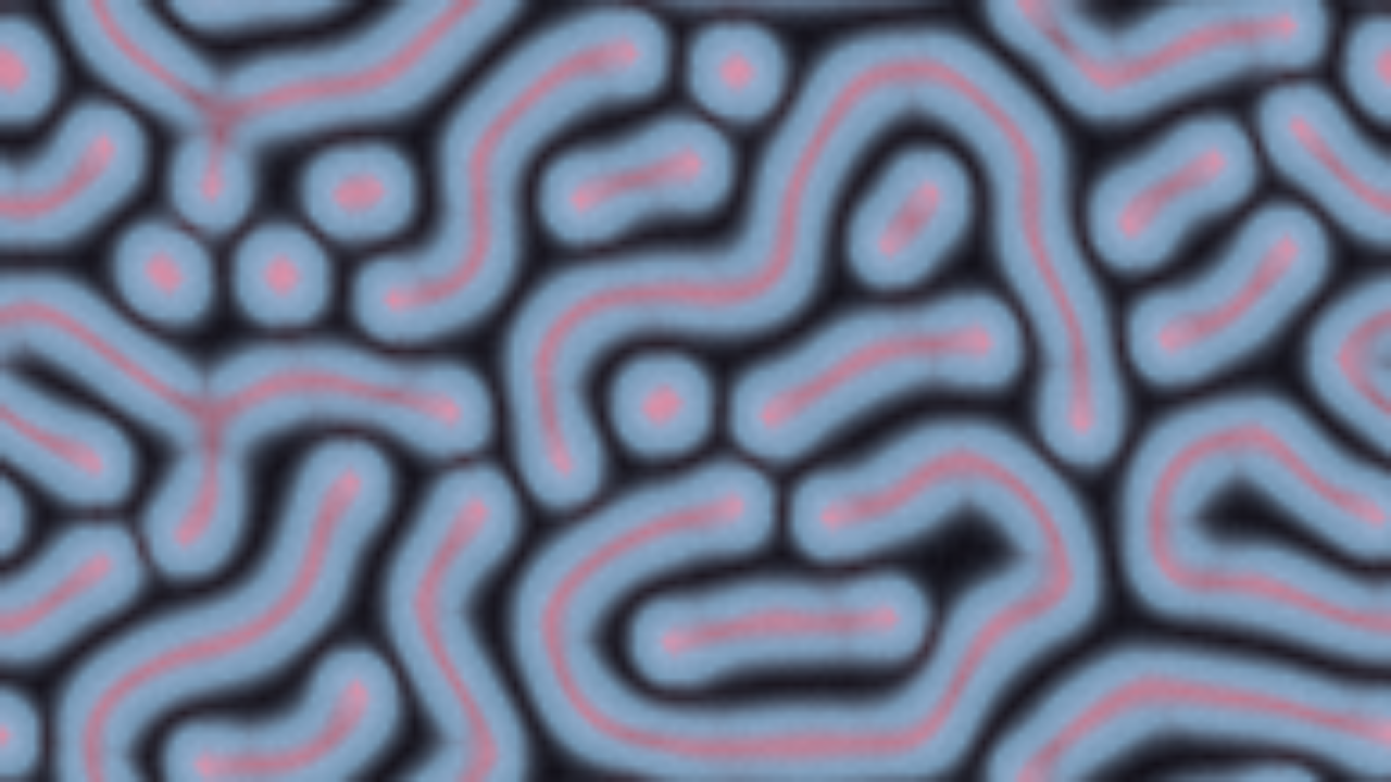 Vellum Pleura interactive simulation preview