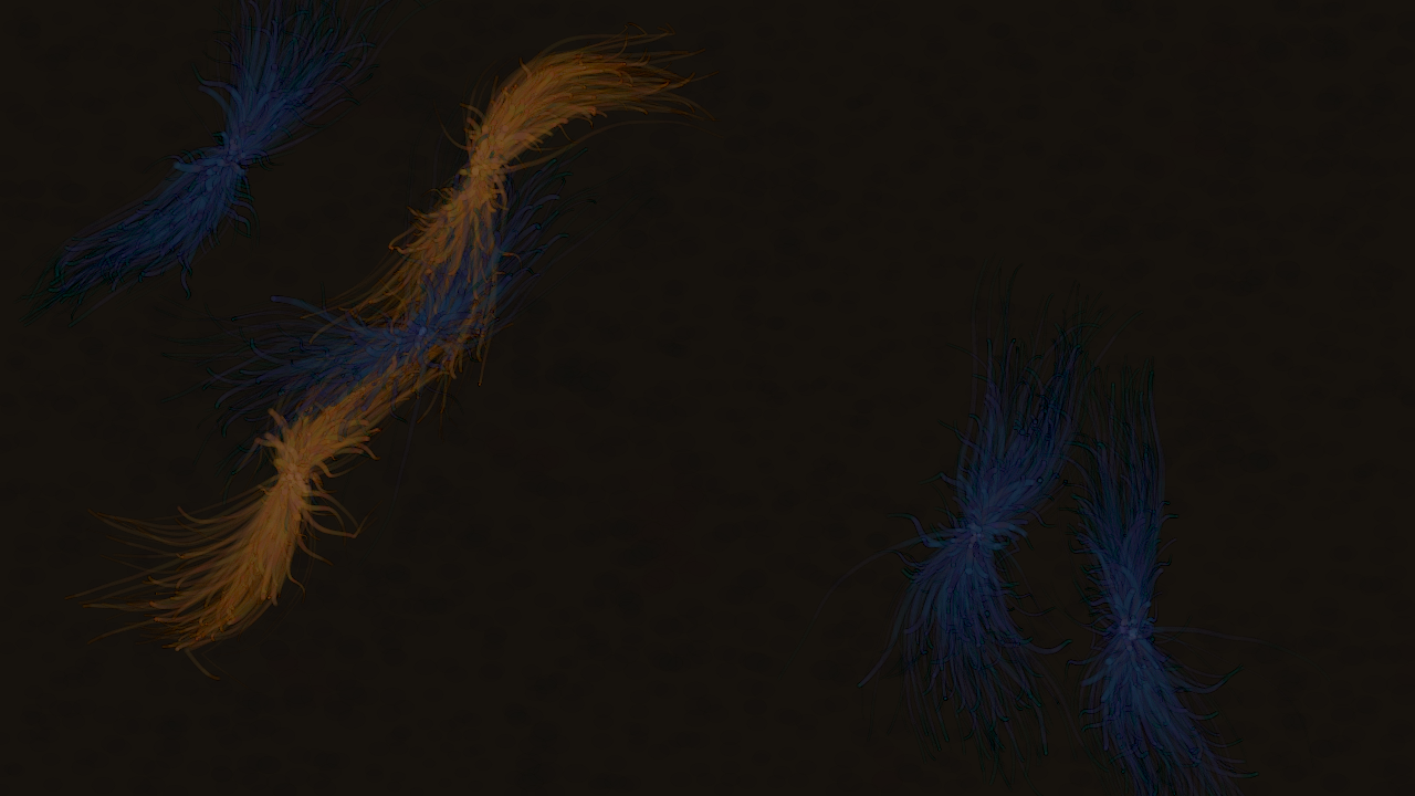 Vellum Stigmata interactive simulation preview