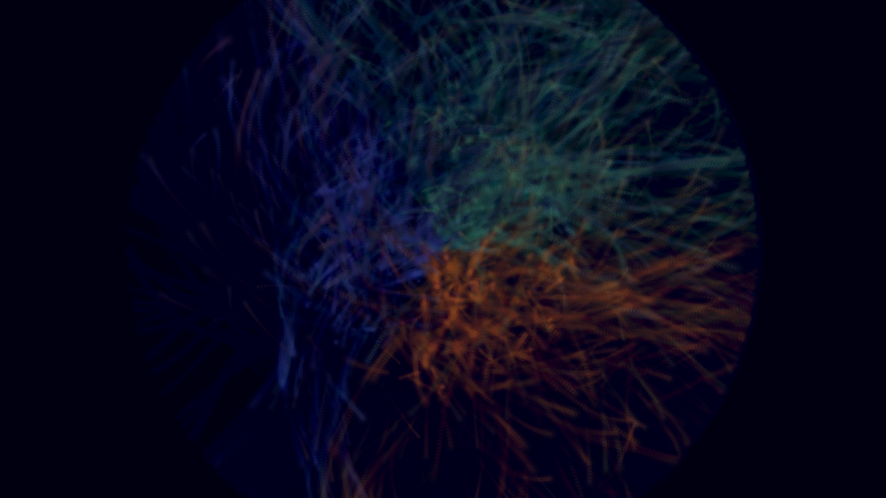 Wash Litany interactive simulation preview